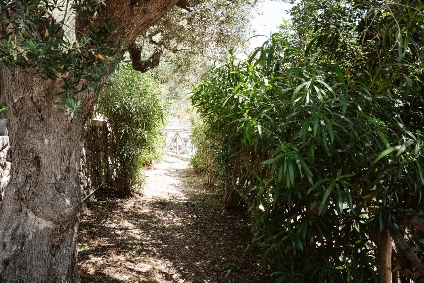 דירות Amalfi Gioia House מראה חיצוני תמונה